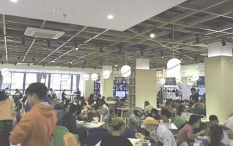 食堂年终工作总结及来年展望 食堂年终工作总结范文大全