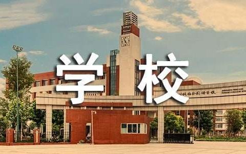 学校食堂年终工作总结范文 学校食堂年终工作总结范本五篇