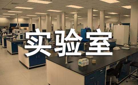 中学实验室工作总结报告 中学实验室工作总结怎么写