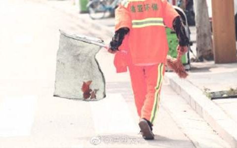 在环卫工作总结怎么写 环卫工作总结及计划