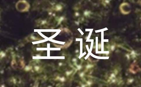 圣诞节工作总结怎么写 圣诞节工作计划