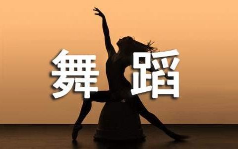 舞蹈教学工作总结个人 舞蹈教学工作总结个人主要内容