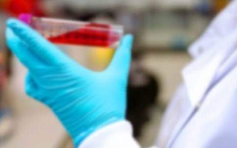 高中化学备课组长工作总结范文 高中化学备课组长工作总结怎么写