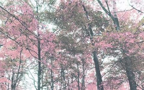 秋季学期教学工作总结小班 秋季学期教学工作总结中班
