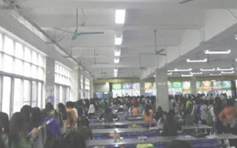 食堂工作总结优秀范文大全 食堂工作总结优秀员工