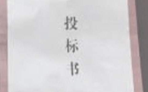 招投标工作总结及计划 招投标工作总结简短