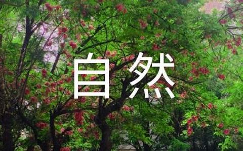 自然灾害隐患排查工作总结报告 自然灾害隐患排查整治工作总结