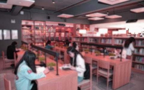 图书管理员年终工作总结范文 图书管理员年终工作总结怎么写