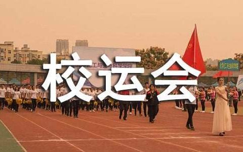 校运会工作总结800字 校运会工作总结500字