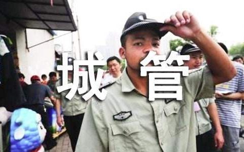 市容城管工作总结与下一步工作计划 市容城管工作总结报告