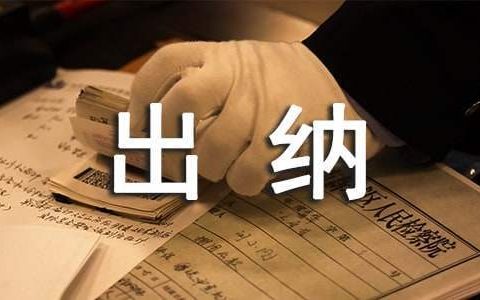 财务出纳个人年终总结 财务出纳个人年终总结关于理财的内容