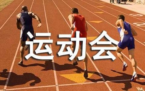 运动会工作总结 体育部运动会工作总结