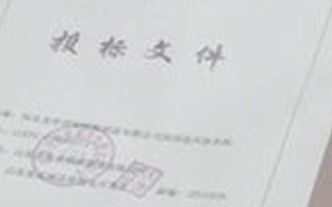 工程招投标工作总结范文 工程招投标工作总结简短