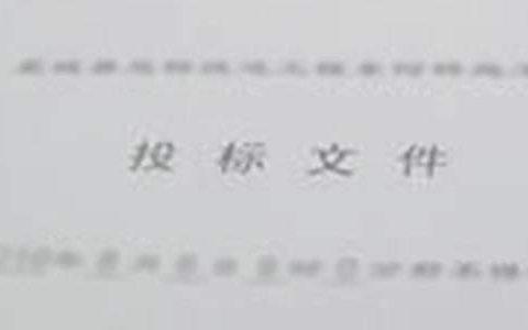 投标工作总结 投标工作总结简短