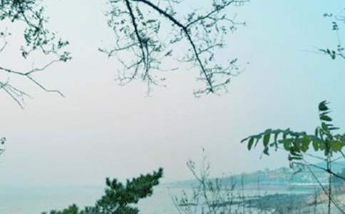 便民办税春风行动工作总结报告 便民办税春风行动工作总结税务