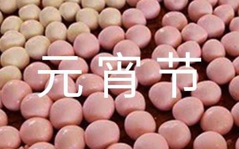 公司元宵节活动总结稿 公司元宵节活动总结文案