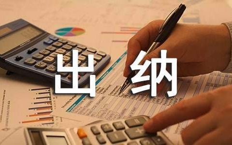 财务出纳工作总结个人 财务出纳工作总结精辟简短