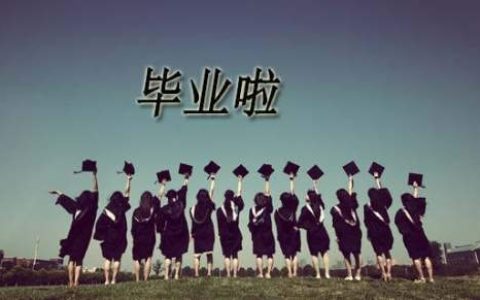 毕业个人实习总结