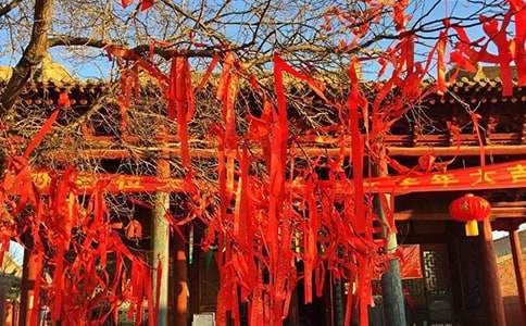 学校传统节日活动总结报告 学校传统节日活动总结怎么写