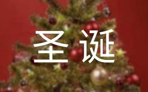 圣诞节活动总结怎么写 圣诞节活动总结话语
