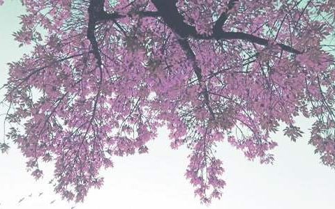 大班秋季工作总结 大班秋季工作总结发现问题和改进措施