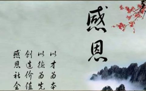 感恩活动总结简短 感恩活动总结1500字