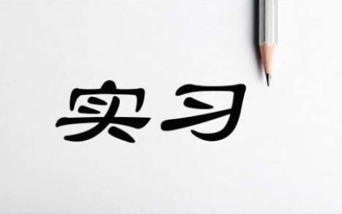 助教实践报告模板及范文3000字