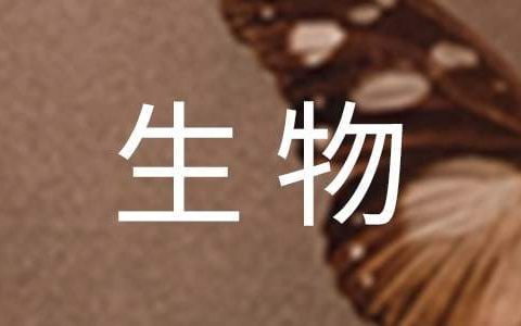 高二生物教学工作总结 高二生物教学工作总结个人