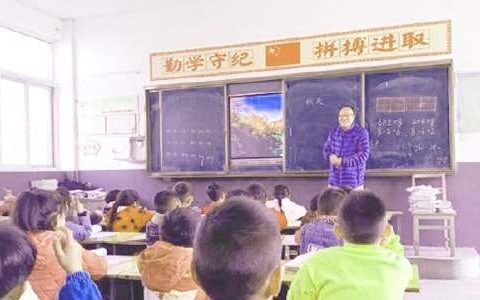 小学科学教学工作总结 小学科学教学工作总结和反思