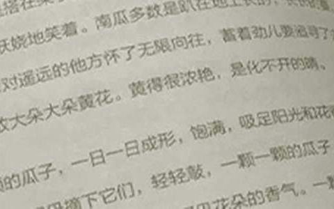 语文教学的工作总结怎么写 语文教学的工作总结报告