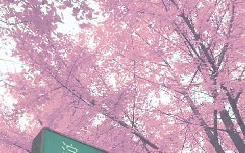 秋季学期班务工作总结范文 秋季学期班务工作计划