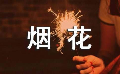 烟花爆竹专项整治行动工作总结汇报 烟花爆竹专项整治工作开展情况