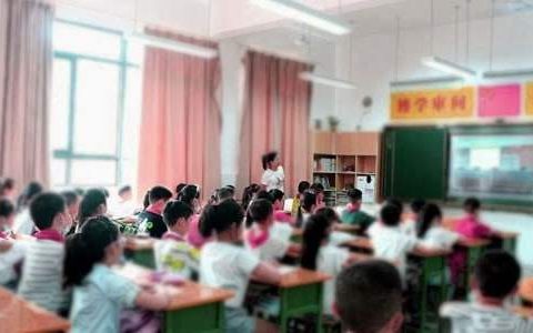 小学教导副主任个人教学工作总结范文 小学教导副主任个人教学工作总结怎么写