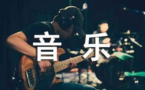 音乐教学工作总结优秀范文 音乐教学工作总结优秀范文大全