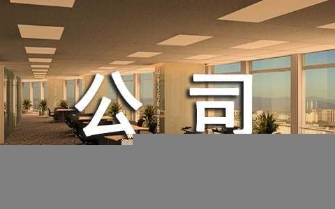 保险公司年终个人工作总结范文 保险公司年终个人工作总结