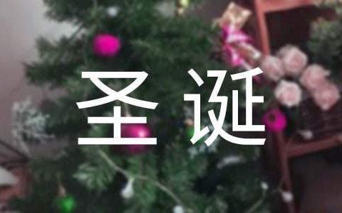 圣诞节活动总结话语 圣诞节活动的总结