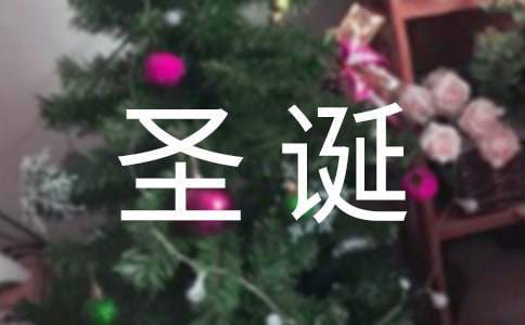 圣诞节活动总结话语 圣诞节活动的总结