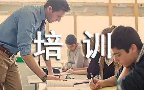 培训师年度工作总结个人 培训师年度工作总结报告