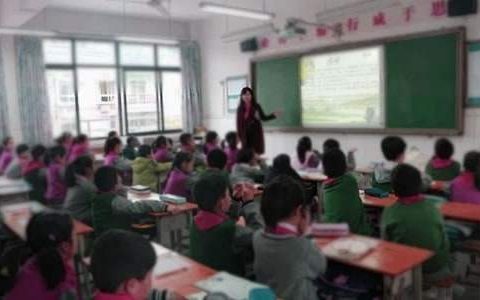 书法教学工作总结个人 硬笔书法教学工作总结