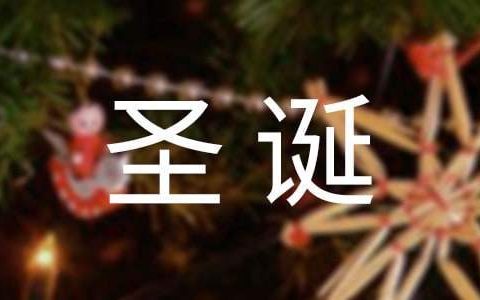 圣诞活动总结报告 圣诞活动总结怎么写