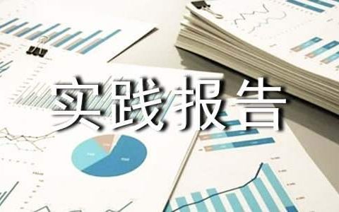 社会实践报告 社会实践报告模板及范文