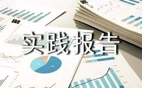 社会实践报告 社会实践报告模板及范文