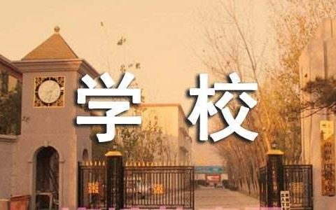 学校民主评议工作总结