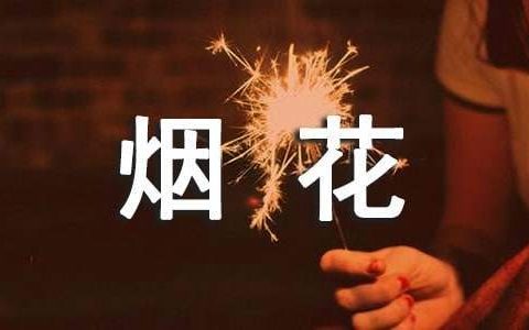 检查烟花爆竹工作总结报告 检查烟花爆竹工作总结怎么写