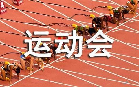 小学趣味运动会活动总结报告 小学趣味运动会活动总结怎么写