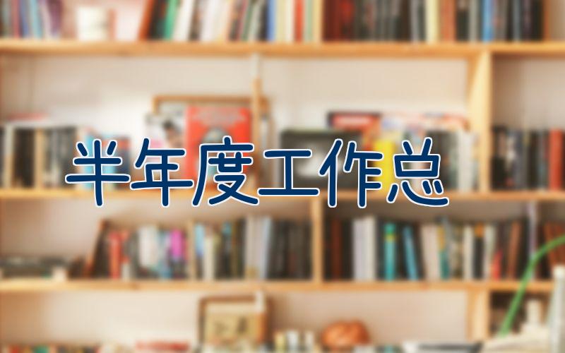 半年度工作总结