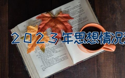 2023年思想情况汇报（10篇）