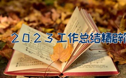 2023工作总结精辟简短