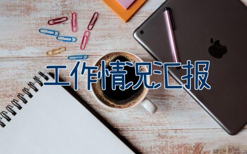 工作情况汇报（13篇）