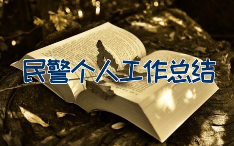 民警个人工作总结（23篇）